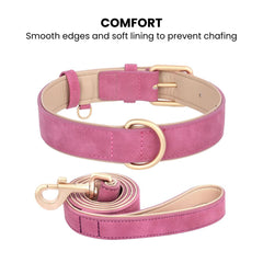 Adjustable Soft PU Leather Dog Collar & Leash — Gold Buckle