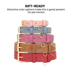 Adjustable Soft PU Leather Dog Collar & Leash — Gold Buckle
