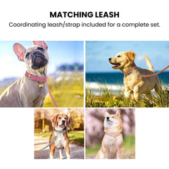 Adjustable Soft PU Leather Dog Collar & Leash — Gold Buckle