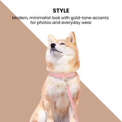 Adjustable Soft PU Leather Dog Collar & Leash — Gold Buckle