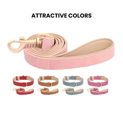 Adjustable Soft PU Leather Dog Collar & Leash — Gold Buckle