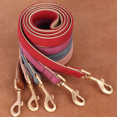Adjustable Soft PU Leather Dog Collar & Leash — Gold Buckle