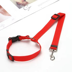 Adjustable Car Seat Belt & Dog Leash — Nylon Safety Strap