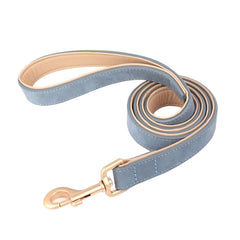 Adjustable Soft PU Leather Dog Collar & Leash — Gold Buckle