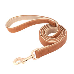 Adjustable Soft PU Leather Dog Collar & Leash — Gold Buckle