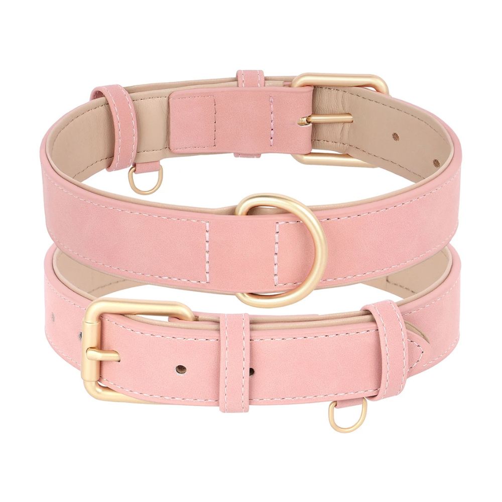 Adjustable Soft PU Leather Dog Collar & Leash — Gold Buckle