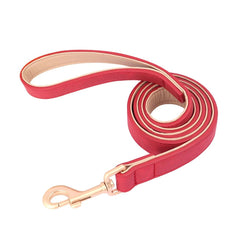 Adjustable Soft PU Leather Dog Collar & Leash — Gold Buckle