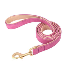 Adjustable Soft PU Leather Dog Collar & Leash — Gold Buckle