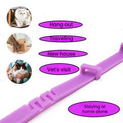 Anti-Anxiety Aromatherapy Pet Collar – 60 Day Relief