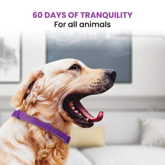 Anti-Anxiety Aromatherapy Pet Collar – 60 Day Relief