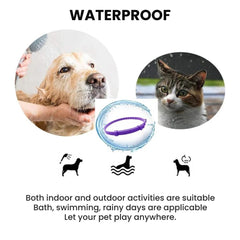 Anti-Anxiety Aromatherapy Pet Collar – 60 Day Relief