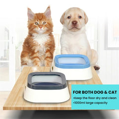 Anti-Splash Pet Water Bowl — Detachable & Easy Clean