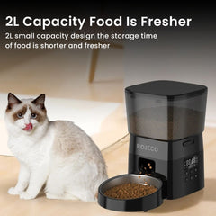 Automatic 2L Pet, Cat & Dog Feeder with Timer & Dual Power Supply