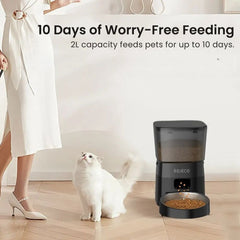 Automatic 2L Pet, Cat & Dog Feeder with Timer & Dual Power Supply
