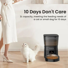 Automatic 2L Pet, Cat & Dog Feeder with Timer & Dual Power Supply