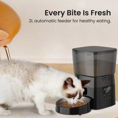 Automatic 2L Pet, Cat & Dog Feeder with Timer & Dual Power Supply