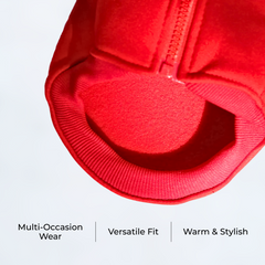 Winter Baseball Dog Jacket for Small Medium Pets