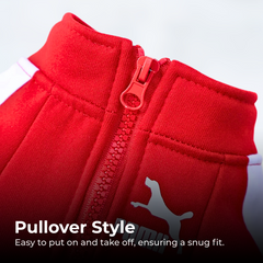 Winter Baseball Dog Jacket for Small Medium Pets