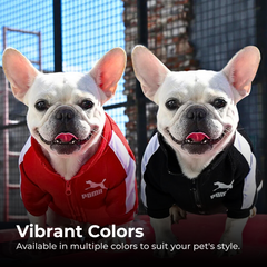 Winter Baseball Dog Jacket for Small Medium Pets