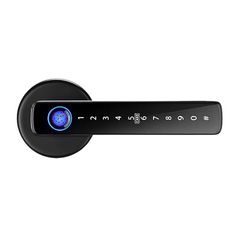 Biometric Smart Door Lock — Fingerprint, PIN & Tuya App