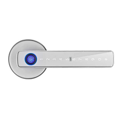 Biometric Smart Door Lock — Fingerprint, PIN & Tuya App