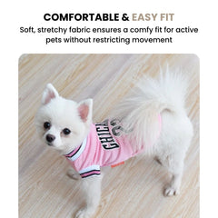 Small Dog Basketball Jersey — Chicago 23 Pet Shirt