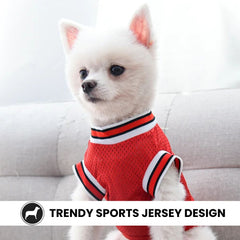 Small Dog Basketball Jersey — Chicago 23 Pet Shirt