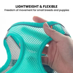 Breathable No-Pull Dog Harness Vest — Small Sizes