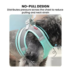Breathable No-Pull Dog Harness Vest — Small Sizes