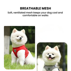 Breathable Reflective Dog Harness with Leash – Soft Mesh