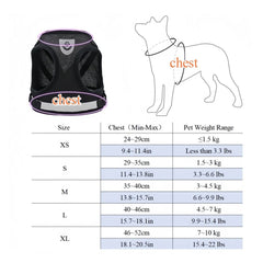 Breathable Reflective Dog Harness with Leash – Soft Mesh