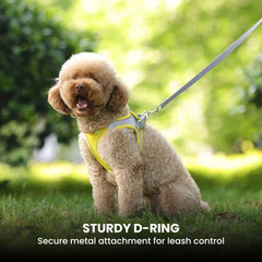 Breathable No-Pull Dog Harness Vest — Small Sizes