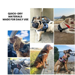 Buddy Reflective Dog Harness - Padded & Adjustable