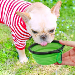 Collapsible Silicone Pet Travel Bowl with Clip