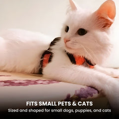Comfort Fit Breathable Dog & Cat Harness — Soft Mesh