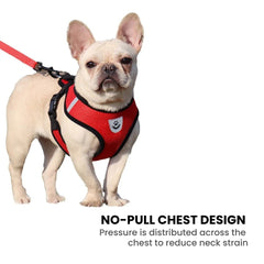 Comfort Fit Breathable Dog & Cat Harness — Soft Mesh