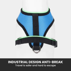 Comfort Fit Breathable Dog & Cat Harness — Soft Mesh
