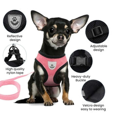 Comfort Fit Breathable Dog & Cat Harness — Soft Mesh