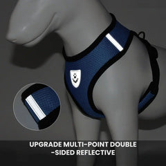 Comfort Fit Breathable Dog & Cat Harness — Soft Mesh