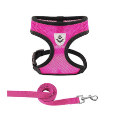 Comfort Fit Breathable Dog & Cat Harness — Soft Mesh