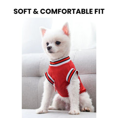 Chicago 23 Pet Jersey — Small Dog & Cat Sports Tee