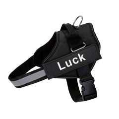 Custom Reflective No-Pull Dog Harness with ID Patch