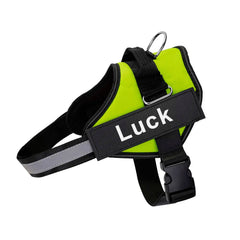 Custom Reflective No-Pull Dog Harness with ID Patch
