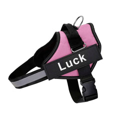 Custom Reflective No-Pull Dog Harness with ID Patch