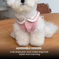 Stylish Cotton Dog Shirt with Collar for Small Pets