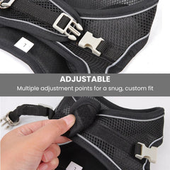 Dog Harness Leash Set for Small Dogs — Adjustable