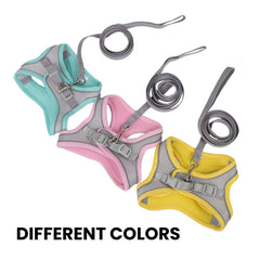 Dog Harness Leash Set for Small Dogs — Adjustable