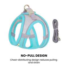 Dog Harness Leash Set for Small Dogs — Adjustable