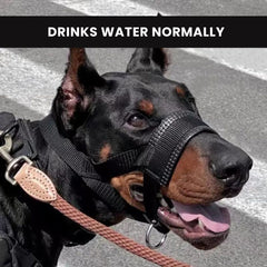 Dog Muzzle Anti-Bite - Outdoor Adjustable Cover