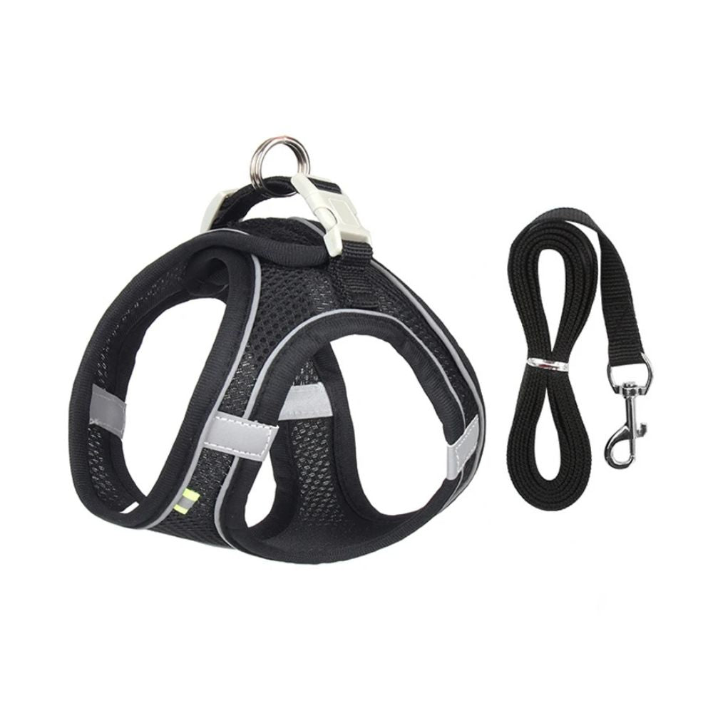 Dog Harness Leash Set for Small Dogs — Adjustable